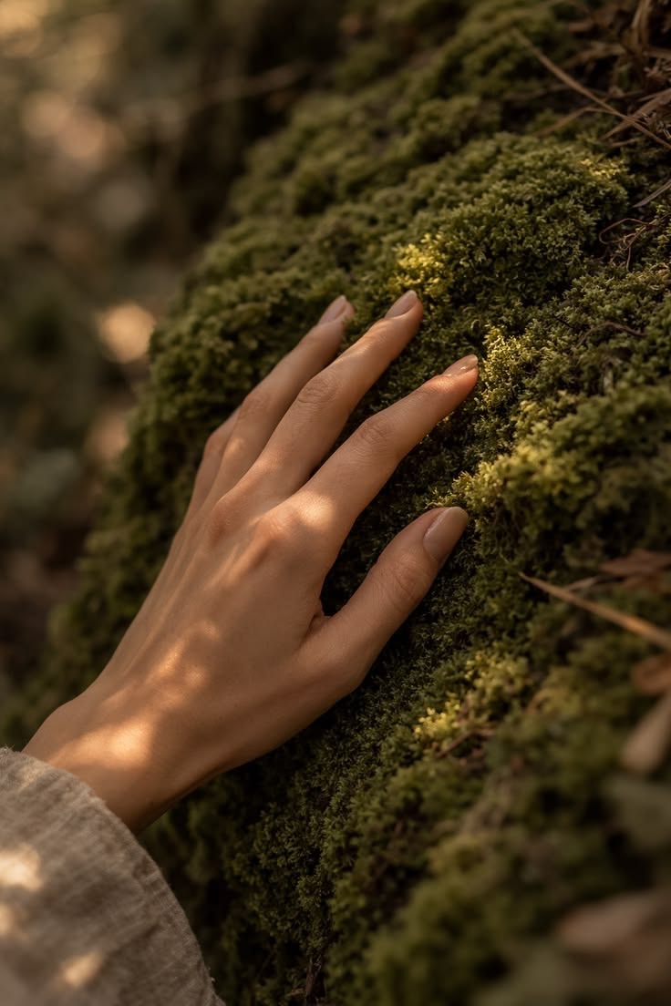 Grounding Roots Meditation