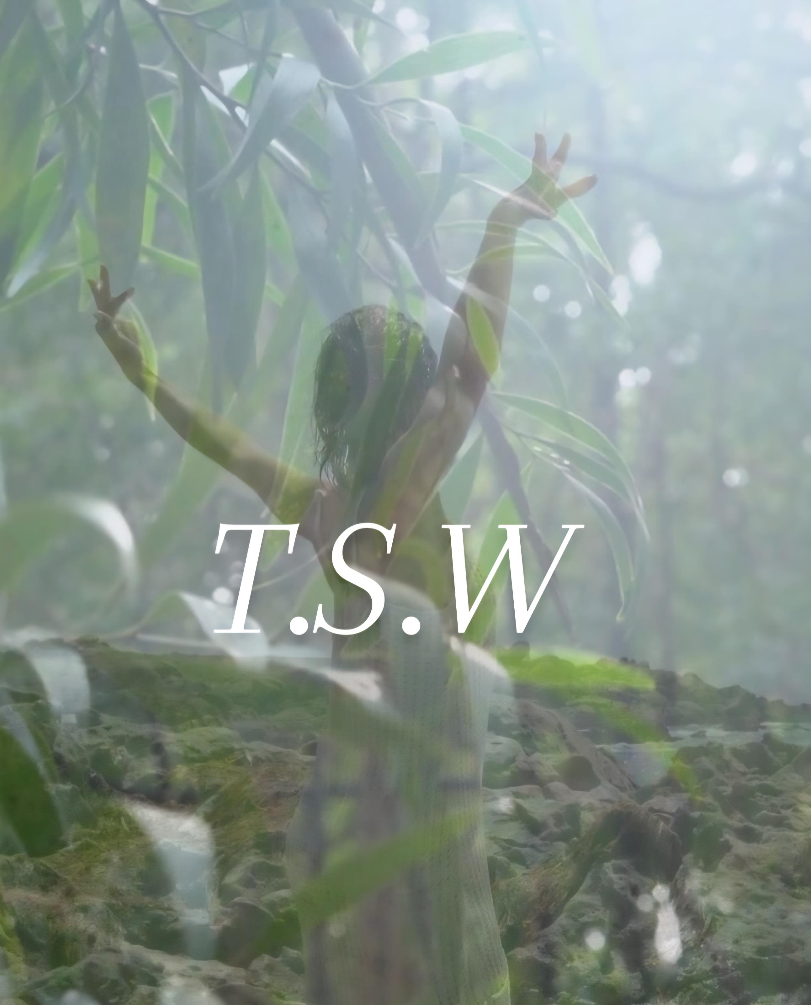 The Sanctuary Within 